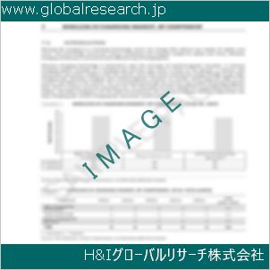 グローバルリサーチ調査資料のイメージ